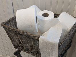 Bread, milk and panic: A survivor’s guide to the “snowmageddon” hype toilet paper