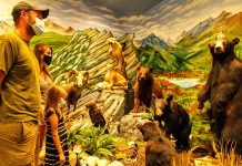 Beaver Creek hosts wildlife eduction programs Oct. 7-8 Beaver Creek Wildlife Education Center