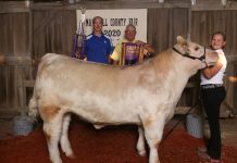 2020 Marshall County Fair sale results Three people stand with a cow.