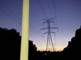 Fluorescent bulb glowing under power lines
