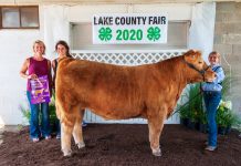 2020 Lake County Fair sale results Grand Champion Market Beef