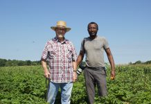 Ohio grown: Columbus man grows local jute for international grocery store Two men stand in a field.