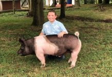 Columbiana County 4-H’er raises $26,000 for father’s medical bills