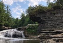 Enjoying some new adventures in nature Swallow Falls State Park