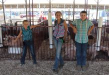 Behind the Shows: Pa. 4-Hers finish a roller coaster year