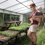 Farmers reflect on 2020, look to 2021 A woman stands in a greenhouse holding a baby.