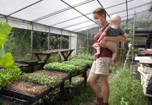 Farmers reflect on 2020, look to 2021 A woman stands in a greenhouse holding a baby.