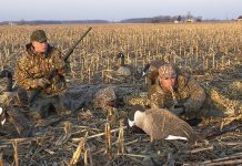 New program connects hunters, landowners goose hunting