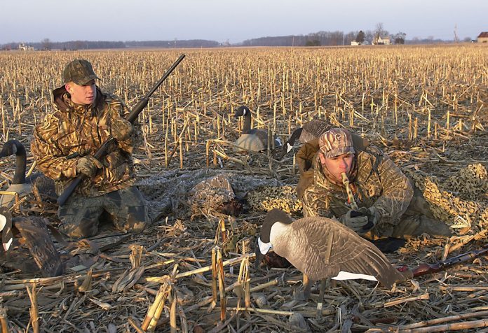 goose hunting