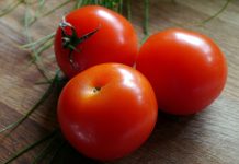 Prized tomatoes and sibling wars tomatoes