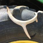 John Beatty — June 10, 2020 John Beatty