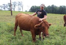 Rodale Institute helps Pa. farmers go organic man petting cow