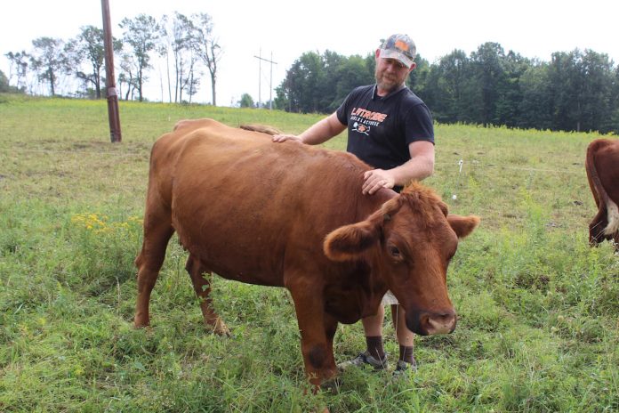 man petting cow