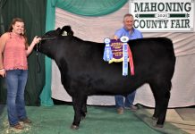 2020 Canfield Fair sale results Grand Champion Market Steer