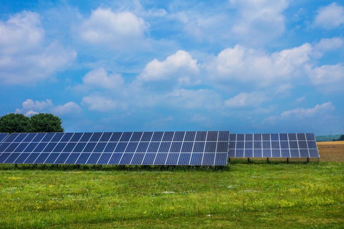 solar panels in a field