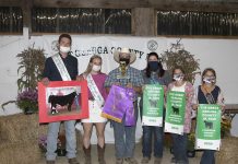 2020 Geauga County Fair sale results Grand Champion Beef Steer
