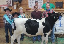 2020 Belmont County Fair sale results Champion Heavy Weight Dairy Feeder