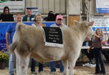 2020 Tuscarawas County Fair sale results