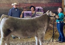 2020 Stark County Fair sale results Grand beef