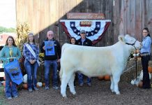 2020 Guernsey County Fair sale results Grand steer