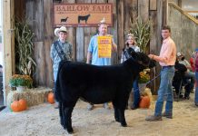 2020 Barlow Independent Fair sale results Grand Champion Feeder Calf Steer