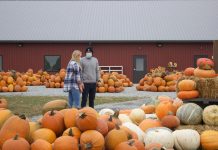 Not ‘falling’ apart: Autumn agritourism adjusts to pandemic, health guidelines A woman and a man look at pumpkins outside of a barn.