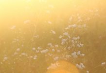 When we take the time to listen sunset