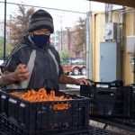 Refugees use farming skills at Ohio City Farm A farm staff member sorts carrots in crates.