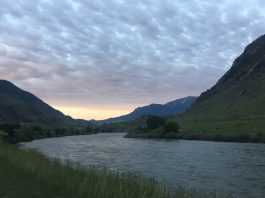 Yellowstone sleepwalker Yellowstone River