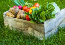 USDA announces new investments in food system resilience, competition vegetables in a wooden crate set down on the grass.