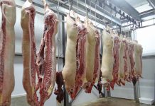 Pennsylvania Pork Producers Council donates over 5,000 pounds of pork hanging pork at a slaughterhouse