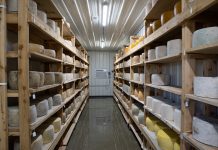 10 cows to no cows: When doing it all becomes too much cheese in an aging room