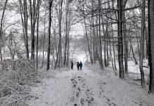 Change in attitude needed for winter freshly fallen snow