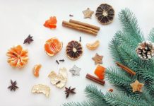 How to turn your Christmas tree into a bird feeding station christmas tree fruit decorations