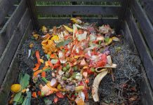 How to optimize your compost pile compost
