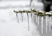 Winter offers beautiful sights, tasty treats ice