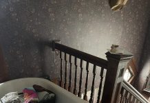 Wolves with power tools Kym Seabolt's bathtub in the hallway