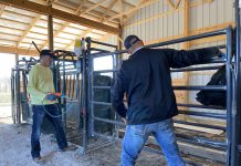 Ohio Cattlemen’s Association gives awards and scholarships Shugert Farms