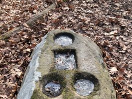 Beaver Township rock