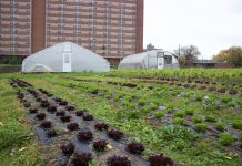 12 members selected for USDA’s Inaugural Secretary’s Advisory Committee for Urban Agriculture Crops and greenhouses at an urban farm, in Cleveland.