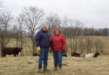 Turner Shorthorns relies on conservation to farm over former silica mine A man in a blue coat and a woman in a red coat stand in a pasture with several shorthorn cattle in the background.