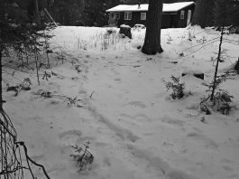 Snow path