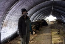 Purplebrown Farmstead focuses on imitating nature A woman stands in a tunnel under a shade cloth.