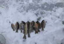 Perseverance pays off when ice fishing ice fishing
