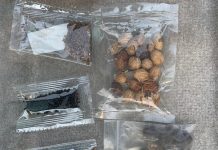 USDA clarifies rules for buying and selling seeds seeds