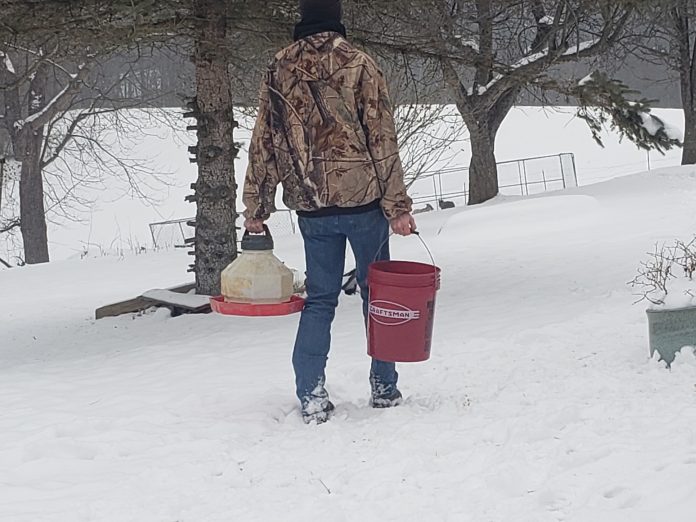 frozen bucket