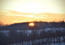 Let me set the record straight winter sunset