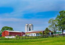 Farmers union talks pandemic, equity, ag consolidation at convention A picture of a farm on a sunny day.