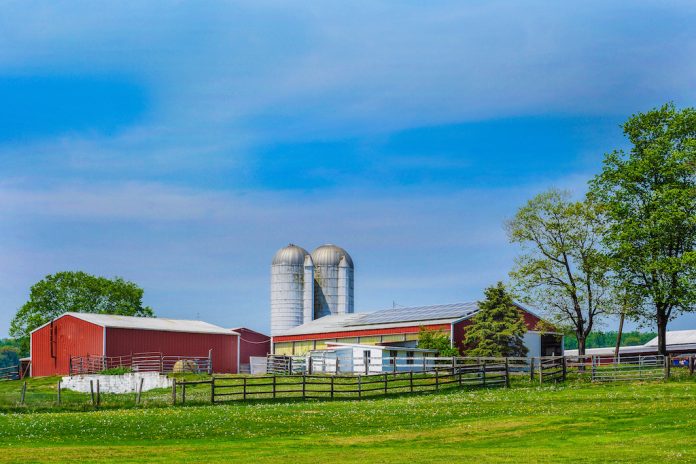 A picture of a farm on a sunny day.