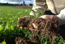 Report: Tillage can be tool in soil health management
